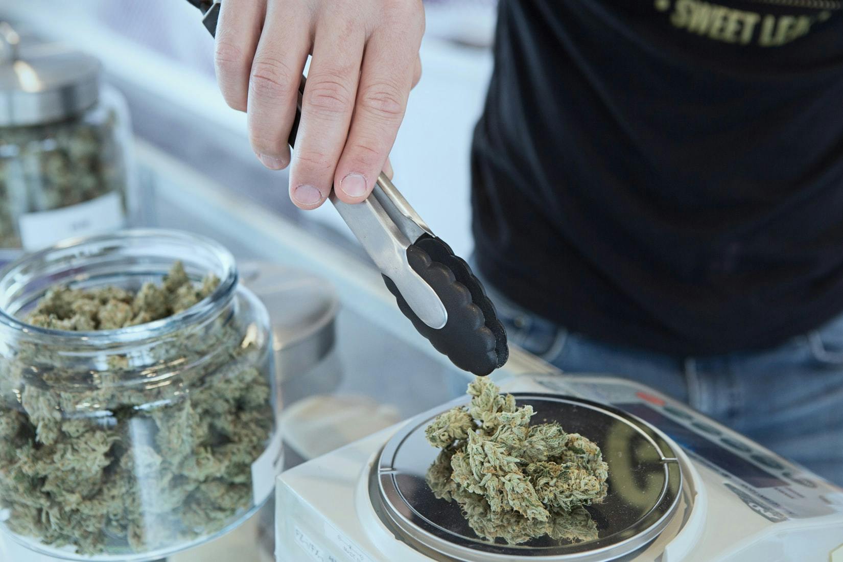 marijuana being weighed